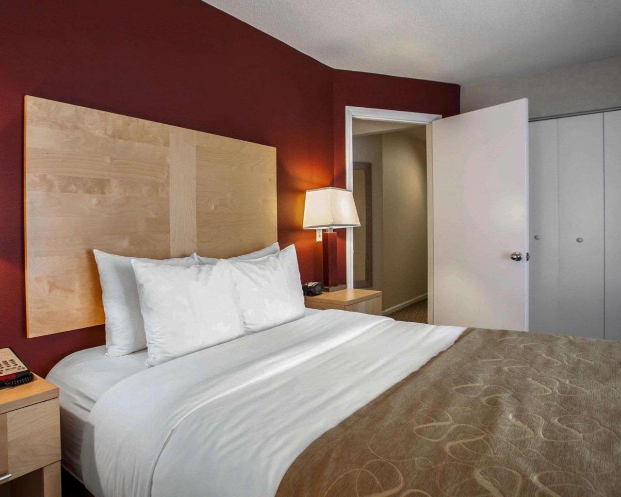 Comfort Suites Michigan Avenue Chicago Kültér fotó