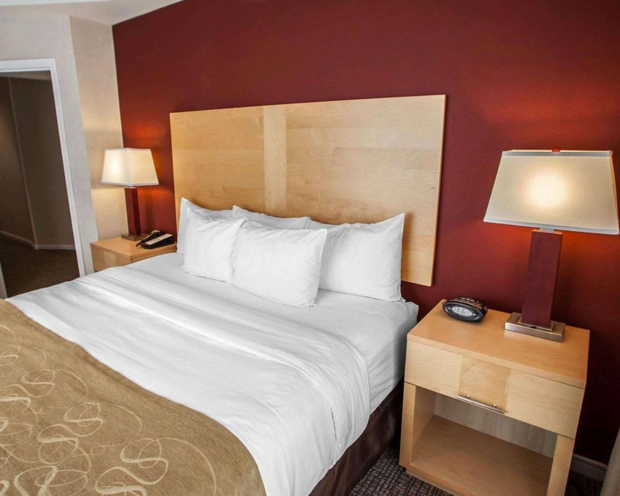 Comfort Suites Michigan Avenue Chicago Kültér fotó