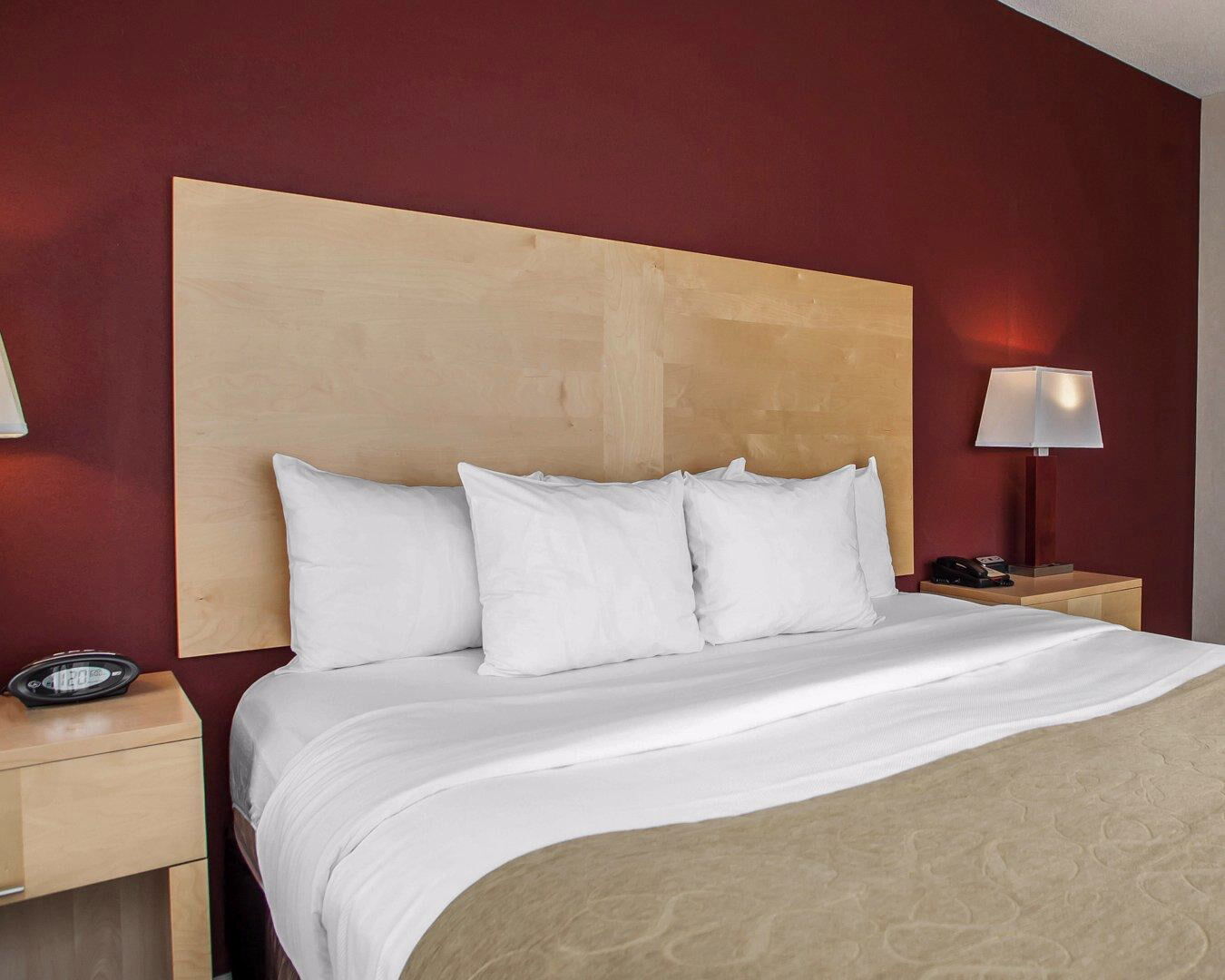 Comfort Suites Michigan Avenue Chicago Kültér fotó