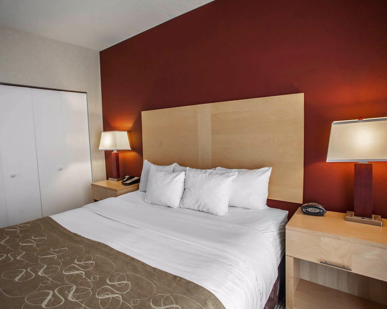 Comfort Suites Michigan Avenue Chicago Kültér fotó